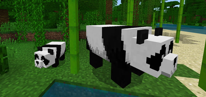 Panda Minecraft