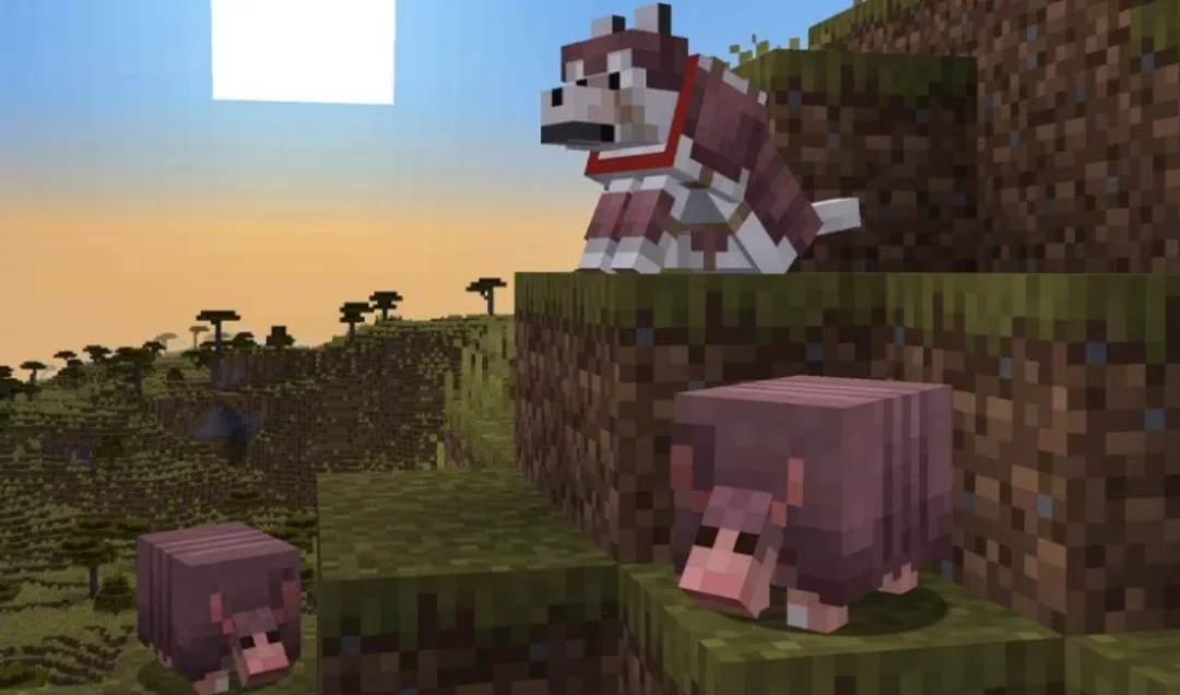 Armadillo Minecraft