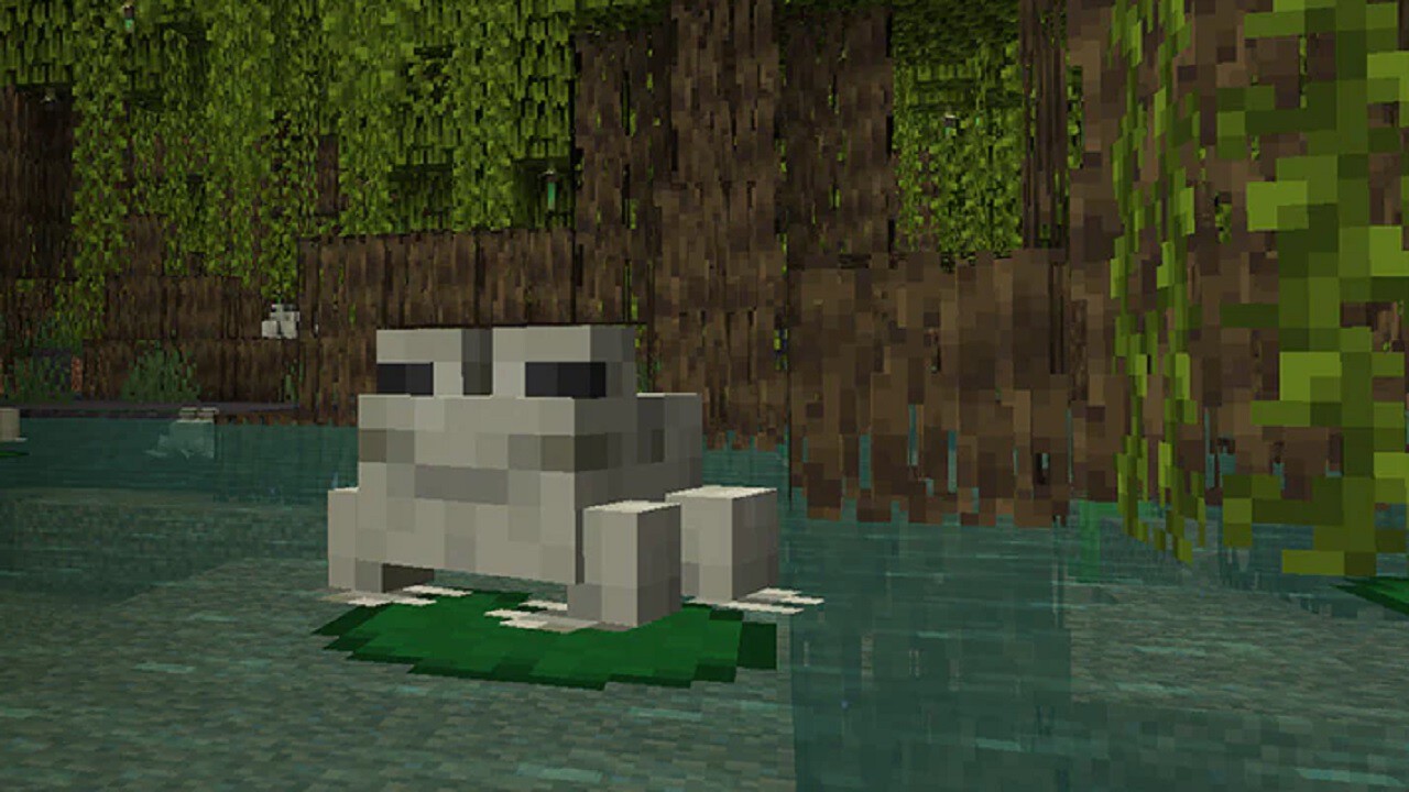 Ranas Minecraft